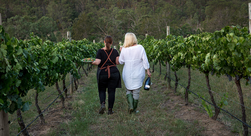 Greenway Wines vineyard